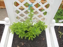 DSCN1284.webp