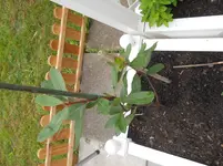 DSCN1285.webp