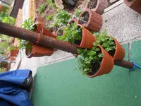 DSCN1288.webp