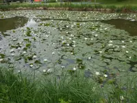 DSCN2395.jpg