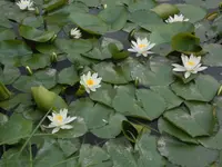 DSCN2396.webp