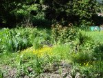 DSC04173.jpg
