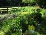 DSC04176.jpg