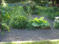 DSC04205.jpg