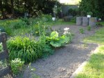 DSC04206.jpg