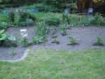 DSC04218.jpg