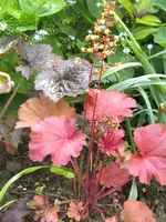 DSCN8742.jpg