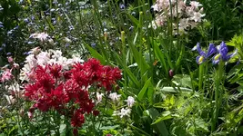 20150527_164514.jpg