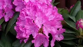 20150527_164149.webp