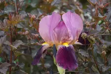 DSC01257.webp