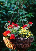 Ampel Terrasse.webp