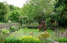 Blick in den Garten.webp