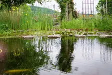 Blick übers Wasser.webp