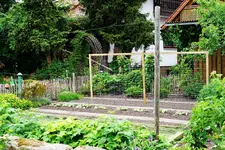 Gemüsegarten.webp