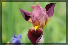 comp_DSC03576.webp