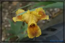 comp_DSC03578.jpg