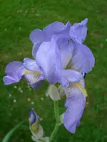 DSCI3374.webp