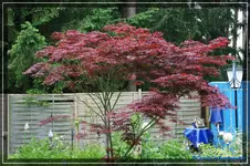 comp_DSC03591.webp