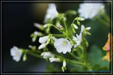 comp_DSC03587.webp