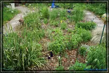 comp_DSC03590.webp