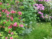 2015-05-24             wie ich es gerne habe.webp