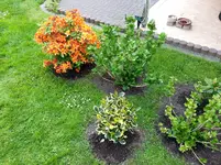 2015-05-24       leichter Schatten.webp