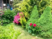 2015-05-24     Ungleiche Brüder.webp