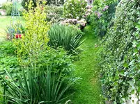 2015-05-24    Ostflanke - hinter den Kulissen.webp