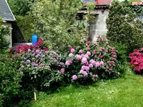 2015-05-24    Westflanke Obergarten.webp