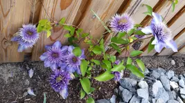 20150528_093905.webp
