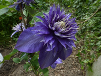 P1370929.webp