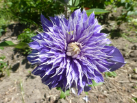 P1390235.webp