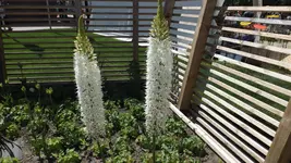 DSCF1915.webp