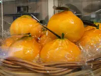 DSCN8620.webp