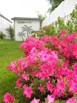 2015-05-28 Garten - Bild 7 von 13.webp