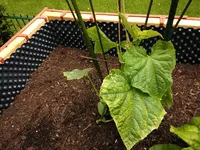 20150528_142429.webp