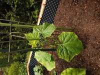 20150528_142417.webp