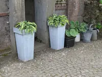009_1024x768.webp