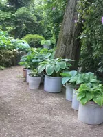 010_576x768.webp