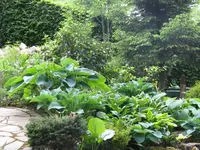 011_1024x768.webp