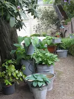 012_576x768.webp
