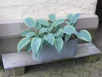 014_1024x768.JPG