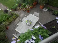 DSCN2415.webp