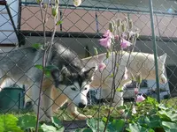 k-P1090334.webp