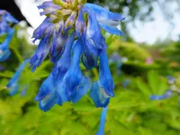 DSCF9109.webp