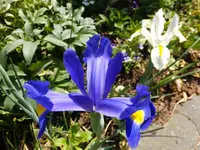 DSCF9128.webp