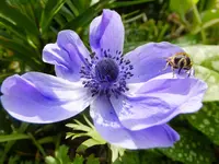 DSCF9047.webp