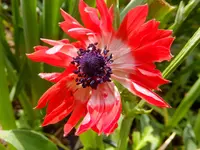 DSCF9052.webp