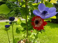 DSCF9057.webp