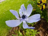 DSCF9090.webp